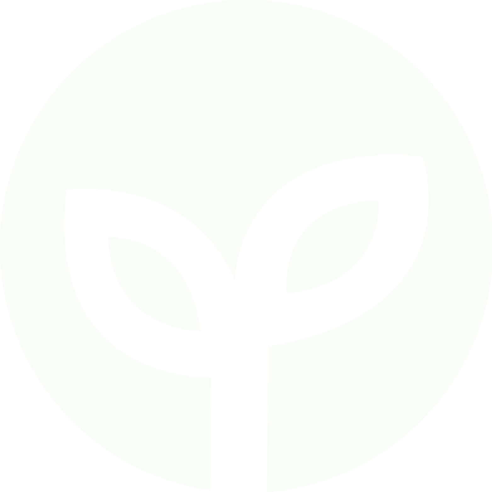 Umami